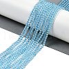 Natural Blue Topaz Beads Strands G-P553-A01-01-2