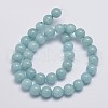 Natural & Dyed Malaysia Jade Bead Strands X-G-A146-10mm-A25-2