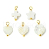 5pcs 5 Styles Natural Shell Pendants PALLOY-JF03071-1