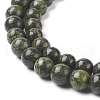 Natural Serpentine/Green Lace Stone Beads Strands G-S259-15-6mm-1-3