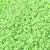 Baking Paint Glass Seed Beads SEED-P006-03A-35-3