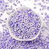 Baking Paint Glass Seed Beads SEED-C003-01G-2