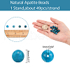 ARRICRAFT Natural Apatite Beads Strands G-AR0001-77-2