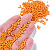 Glass Seed Beads SEED-S060-A-F429-4
