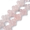 Natural Rose Quartz Beads Strands G-M418-D07-01-1