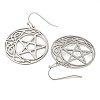 Tarnish Resistant 304 Stainless Steel Dangle Earrings for Women EJEW-F338-04P-01-2