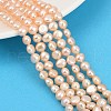 Natural Cultured Freshwater Pearl Beads Strands PEAR-P064-19G-12C-1
