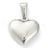 304 Stainless Steel Pendants X-STAS-P278-01R-P-2