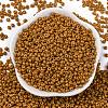 8/0 Baking Paint Glass Seed Beads SEED-M012-02A-51-2