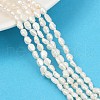 Natural Cultured Freshwater Pearl Beads Strands PEAR-P064-20F-02A-1