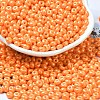 Baking Paint Luster Glass Seed Beads X1-SEED-B001-04A-10-1