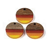 Pride Rainbow Theme Resin & Walnut Wood Pendants WOOD-K012-07A-1