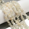 Natural White Moonstone Beads Strands G-P332-01-1