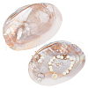  2Pcs Natural Freshwater Pearl Shell Decoration SHEL-NB0001-64-1