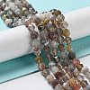 Natural Botswana Agate Beads Strands G-NH0002-C01-01-2