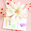 Clear Silicone Stamps DIY-WH0504-64A-5