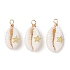 6Pcs 6 Styles Copper Wire Wrapped Natural Cowrie Shell Pendants PALLOY-JF03554-2