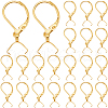 SUNNYCLUE 40Pcs 304 Stainless Steel Leverback Earring Findings STAS-SC0009-31G-1
