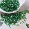 MIYUKI Delica Beads SEED-X0054-DB0152-1