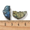 Natural Labradorite Carved Cabochons G-C152-03B-3