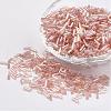 Glass Bugle Beads SEED-E001-12mm-L176-1
