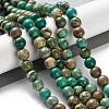 Dyed Natural Regalite/Imperial Jasper/Sea Sediment Jasper Beads Strands G-B124-C01-10-2