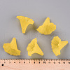Transparent Acrylic Beads BSF796-C09-6