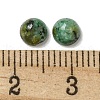 Natural African Turquoise(Jasper) Cabochons G-Q173-01B-05-3