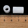 Resin European Beads RESI-U008-01G-2