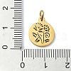 304 Stainless Steel Charms STAS-C097-46G-06-3