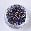 6/0 Glass Seed Beads SEED-S027-06B-09-2