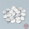 925 Sterling Silver Charms STER-T002-101S-3
