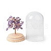 Natural Amethyst Chips Money Tree in Dome Glass Bell Jars with Wood Base Display Decorations DJEW-B007-04G-3