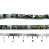Natural African Turquoise(Jasper) Beads Strands G-A220-B03-01-5