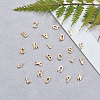 Alloy Beads PALLOY-CJ0001-45-6