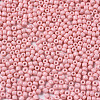 Glass Seed Beads SEED-S060-A-F412-3