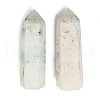 Natural Chrysocolla Home Decorations G-A217-09-1