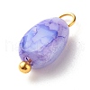 Opaque Baking Painted Crackle Glass Beads Pendants PALLOY-JF01242-3