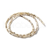 Natural Freshwater Shell Beads Strands X-SSHEL-B002-17-2