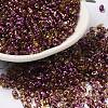 Spray Painted Glass Seed Beads SEED-F005-02A-02-1