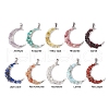 10Pcs 10 Styles Natural Mixed Gemstone Chip Pendants PALLOY-JF02834-1