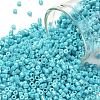 Cylinder Seed Beads X-SEED-H001-H05-2