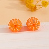 Reisn Orange Stud Earrings EJEW-B136-01-4