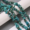 Natural Turquoise Chip Beads Strands X-G-D093-A01-2