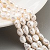 Natural Cultured Freshwater Pearl Beads Strands PEAR-P062-28I-1