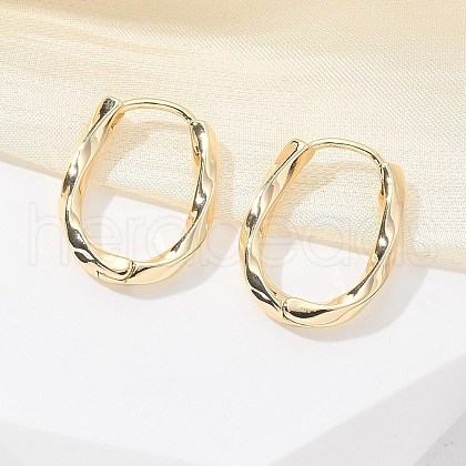 Brass Twist Hoop Earrings EJEW-Q014-02G-1