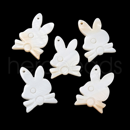 Natural Freshwater Shell Pendants BSHE-Z003-23-1