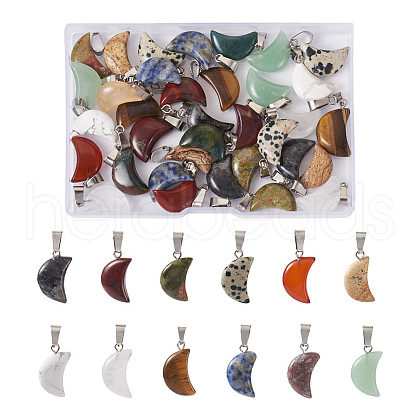 Fashewelry 48Pcs 12 Styles Natural Gemstone Pendants G-FW0001-30-1