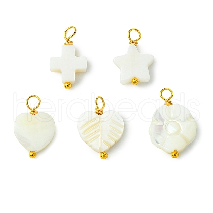 5pcs 5 Styles Natural Shell Pendants PALLOY-JF03071-1