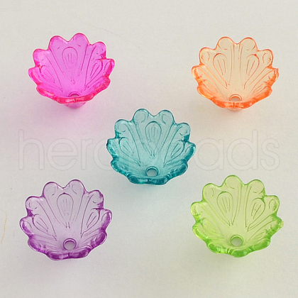 Transparent Acrylic Flower Bead Caps TACR-Q004-M01-1